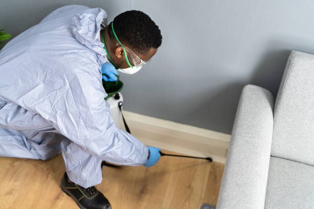 Emergency Pest Control Services in Victor, ID